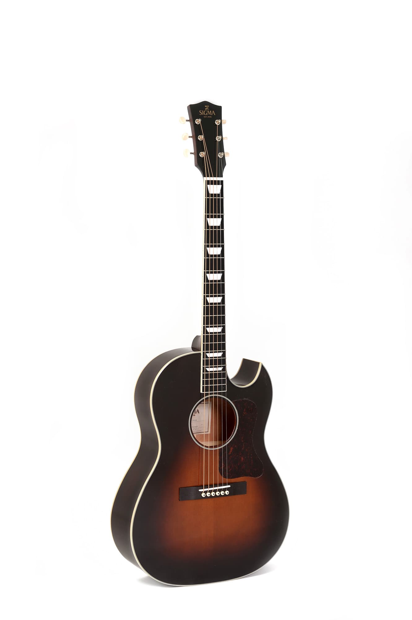 Акустическая гитара Sigma Guitars LGMC-SG100F+