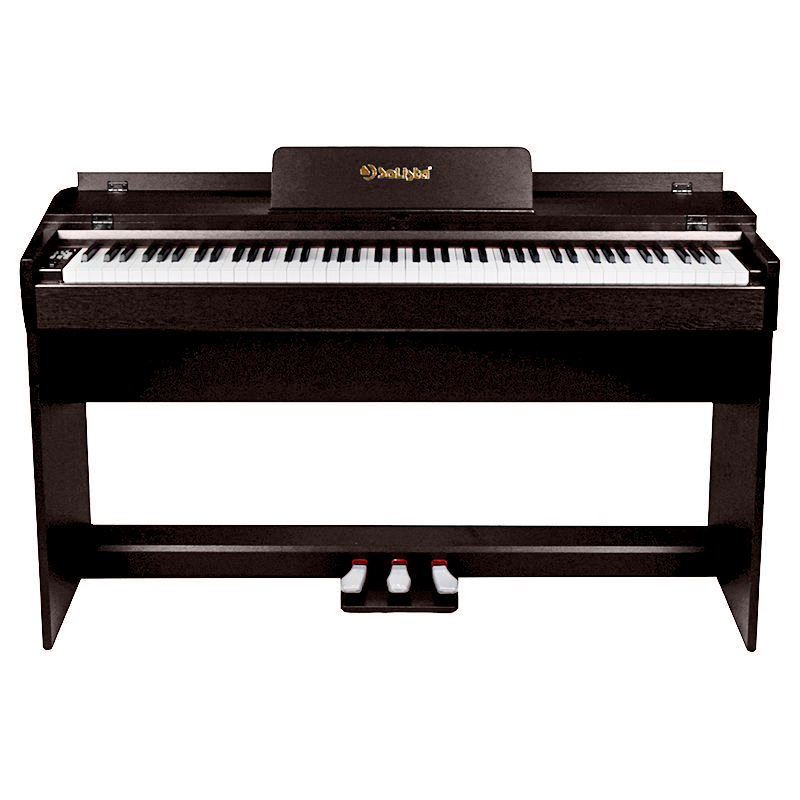Цифровое пианино Solista DP600R