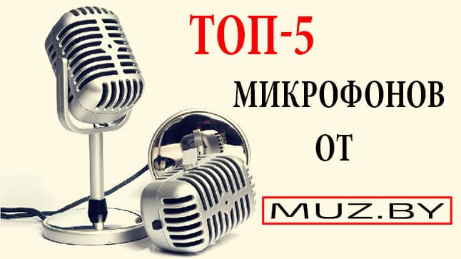 ТОП-5 микрофонов в "Музыке" - выбери свой!