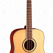 Гитара акустическая Parkwood S61