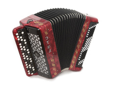 Баян ''Тула'' Этюд-205М2 55*100-II БН40(Красный)