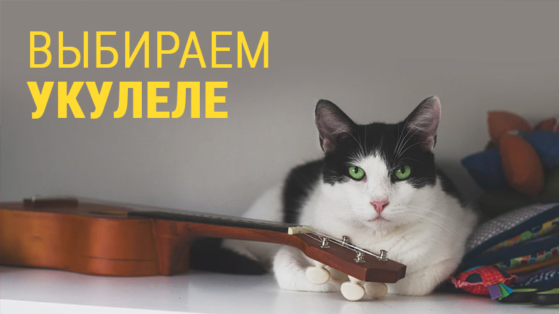 Как выбрать укулеле? Полезные советы от "Музыки"