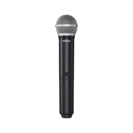 Вокальная радиосистема Shure PG24E/PG58