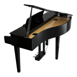 Цифровой рояль Kawai DG30 EP