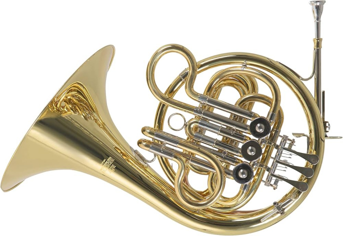 Детская валторна Roy Benson HR212F покрыта лаком