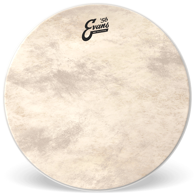 Пластик Evans BD20GB4CT