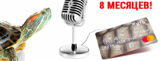 С "Черепахой" - покупки в радость! Новая карта рассрочки в "Музыке"!