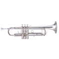 Труба Maxtone TTC-60/L-2