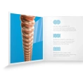 Струны для акустической гитары D’Addario XSAPB1253