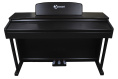 Цифровое пианино Solista DP801R