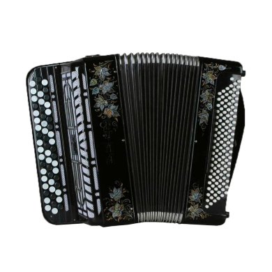 Баян ученический ''Тула'' 55*120/50 БН53