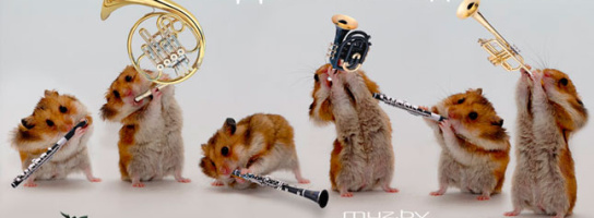 В наш День рождения - подарки для вас! 