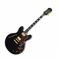 Полуакустическая гитара Epiphone DOT Ebony CH A002057