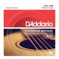 Струны для акустической гитары D'Addario EJ17 13-56