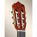 Гитара классическая Alhambra Linea Profesional