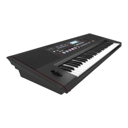 Синтезатор Roland E-X50