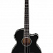 Электроакустическая гитара  Ibanez AEG10NII-BK A041361