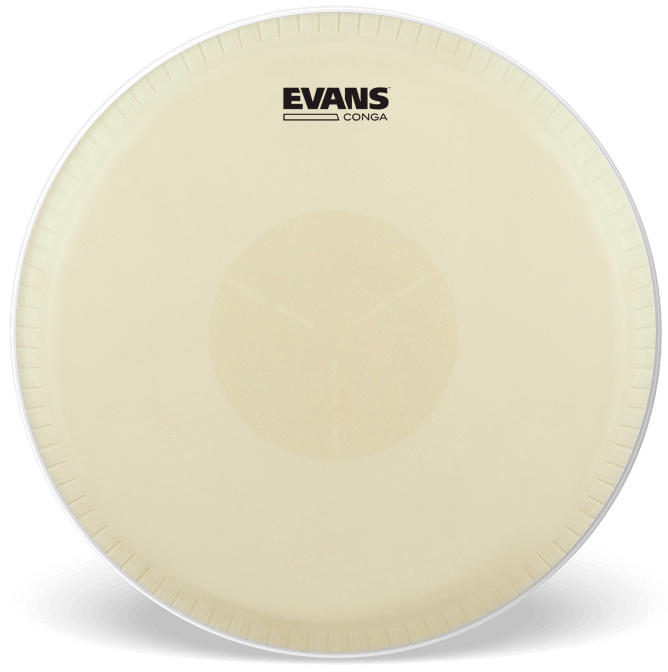 Мембрана для конги Evans EC1100E