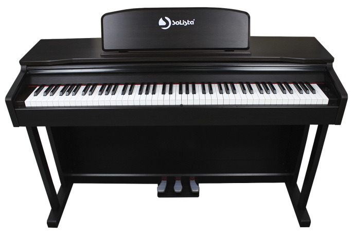 Цифровое пианино Solista DP801R