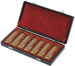 Набор губных гармошек Swan SW1020-7TJ