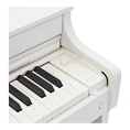 Цифровое пианино Casio Celviano AP-300WE