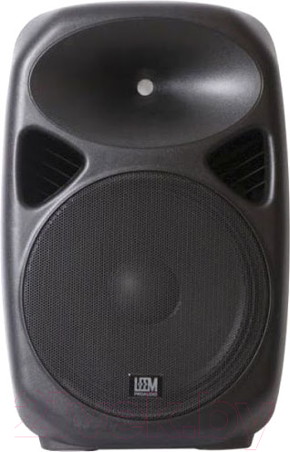 Портативная акустическая система Leem PR-15HR