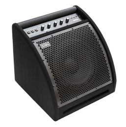 Активный монитор Soundking DS50