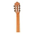 Гитара классическая Alhambra 8.897 Green Sustain CTW E8