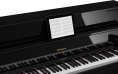 Цифровое пианино Roland LX-17 PE Set