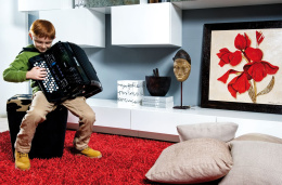 Цифровой баян Roland FR-1XB-BK