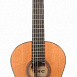 Классическая гитара TNC SPC-9235