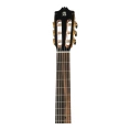 Гитара классическая Alhambra 8.895 Green Sustain Clasical
