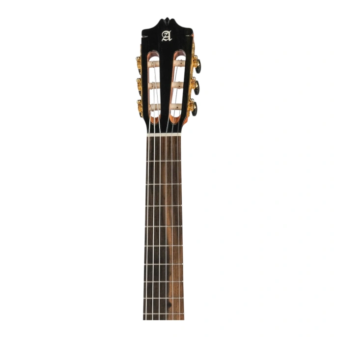 Гитара классическая Alhambra 8.895 Green Sustain Clasical