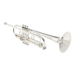Труба Yamaha YTR-9335CHS