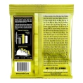 Струны для акустической гитары Ernie Ball 2556 12-54
