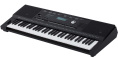 Синтезатор Roland E-X20