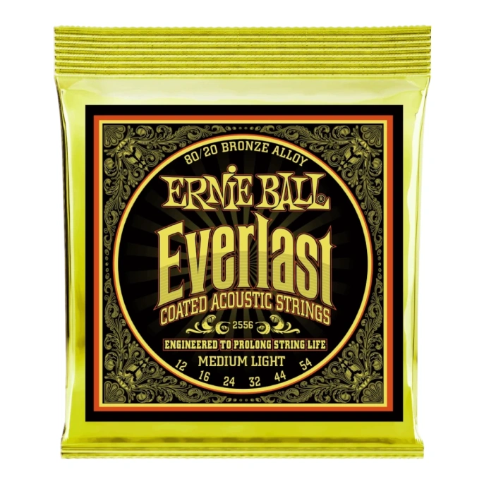 Струны для акустической гитары Ernie Ball 2556 12-54