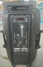 Активная акустическая система HL Audio SKA-15T