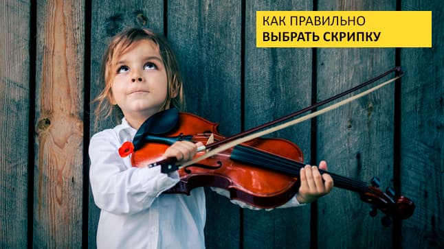 Скрипки в "Музыке": как выбрать и что купить