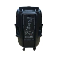 Активная акустическая система HL Audio SKA-15T
