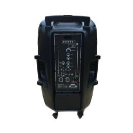 Активная акустическая система HL Audio SKA-15T