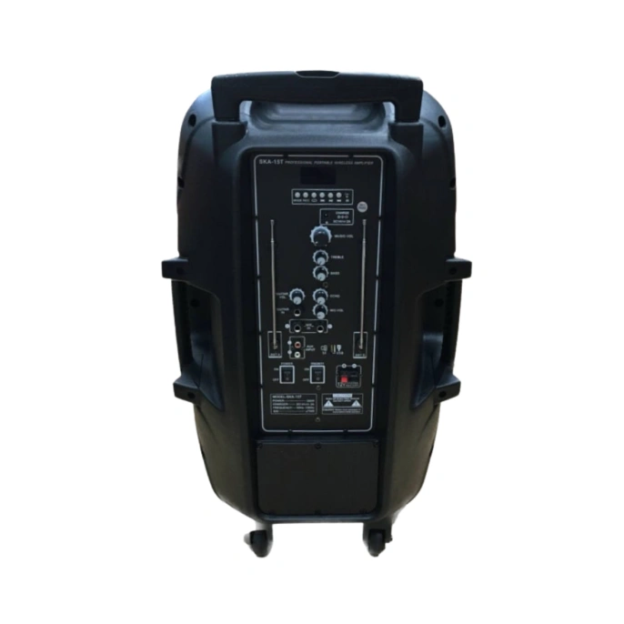 Активная акустическая система HL Audio SKA-15T