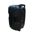 Активная акустическая система HL Audio SKA-15T