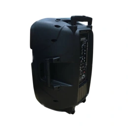 Активная акустическая система HL Audio SKA-15T