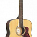 Акустическая гитара Caraya F640-N
