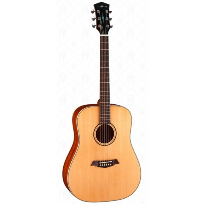 Гитара акустическая Parkwood S21-GT