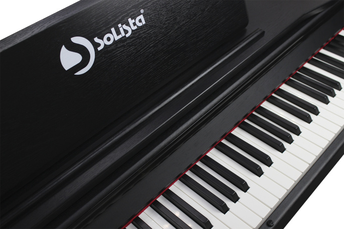 Цифровое пианино Solista DP801BK