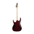 Электрогитара Ibanez GRGR221PA-AQB