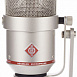 Микрофон студийный Neumann TLM 170 R