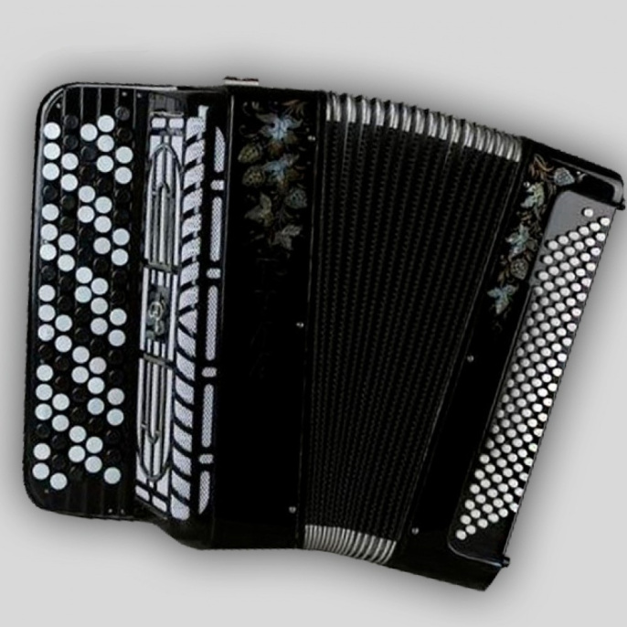 Баян ученический ''Тула-209'' 92/55х100-II БН-49-3